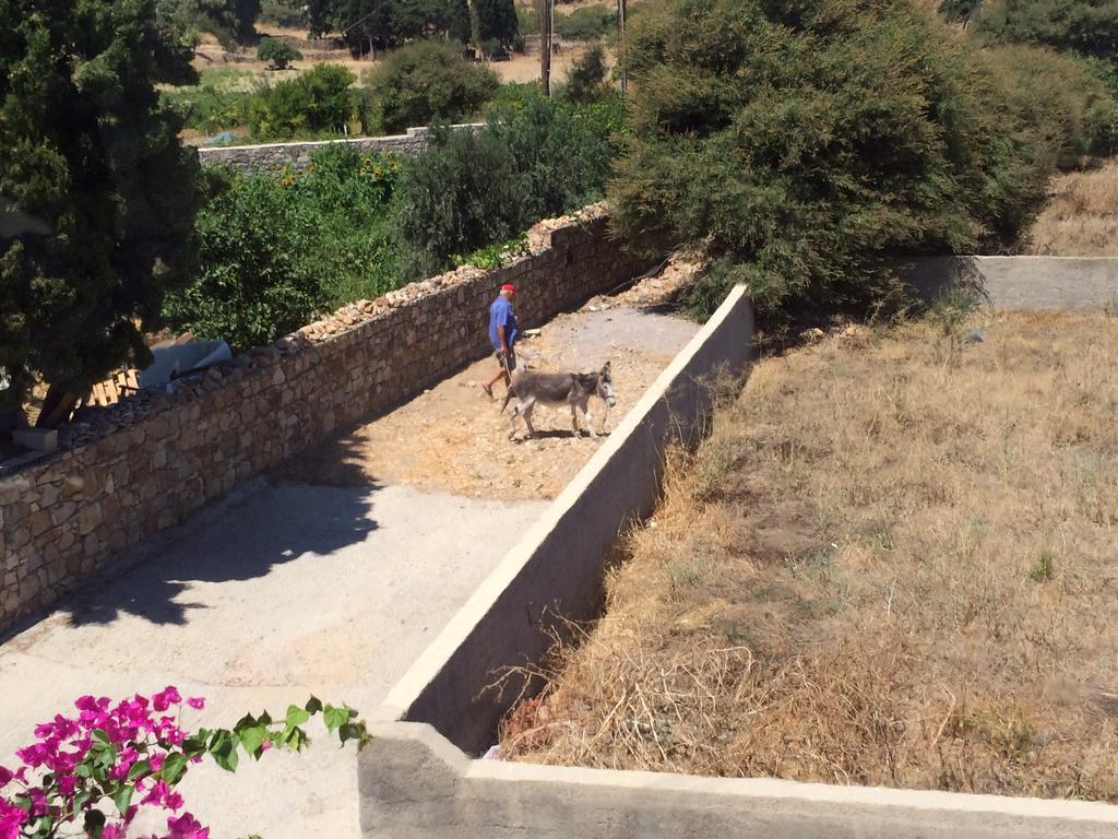 Patmos Villas Grikos Bay  Exterior foto